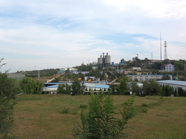 沙河市軍輝膠固粉有限公司